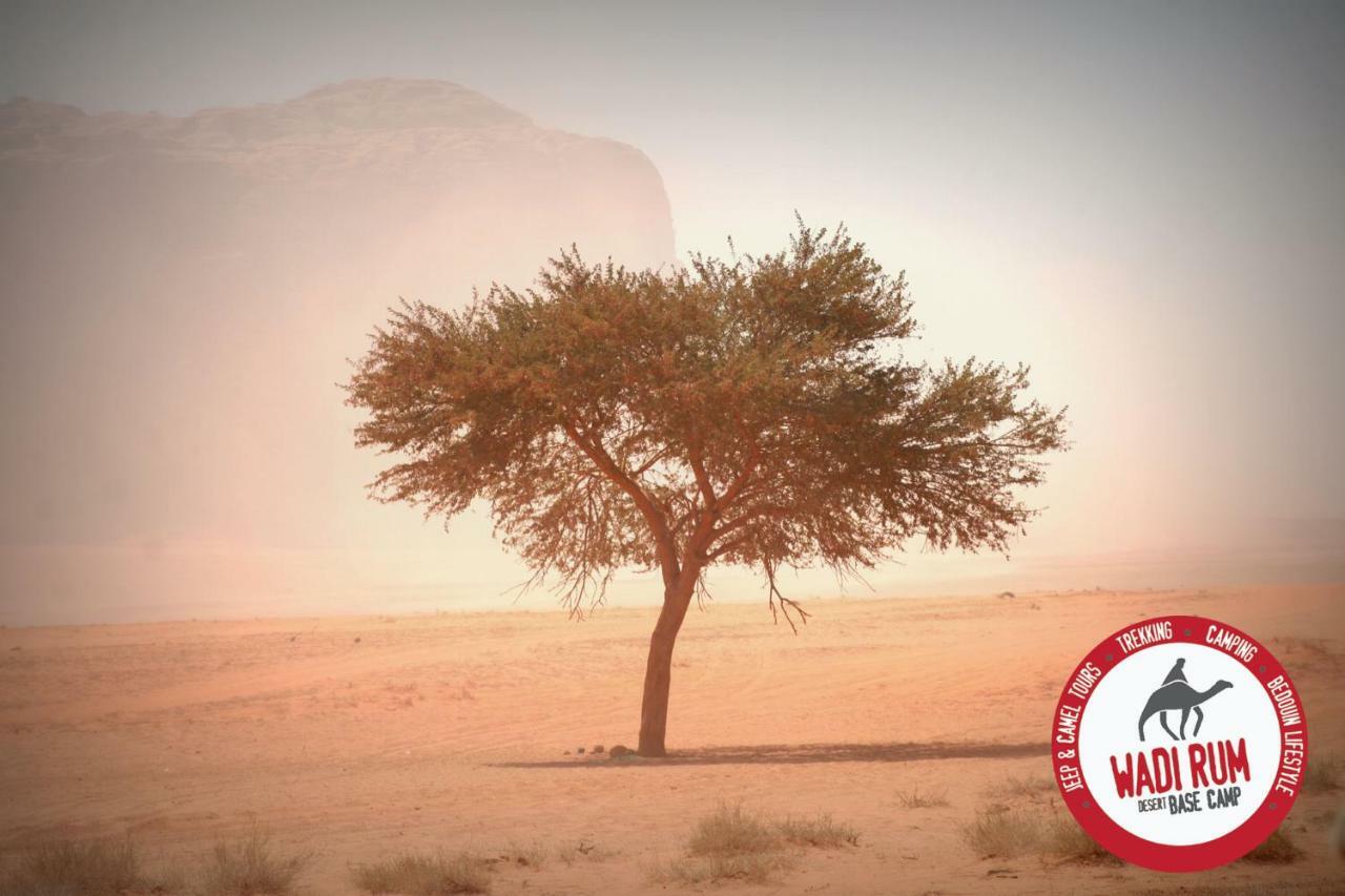 Wadi Rum Desert Base Camp Екстер'єр фото